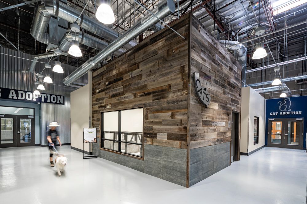 Local Architect Brings Unique Design Aesthetics to the New Nevada SPCA